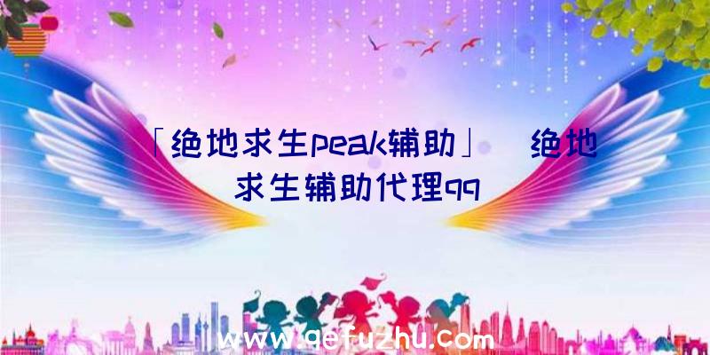 「绝地求生peak辅助」|绝地求生辅助代理qq